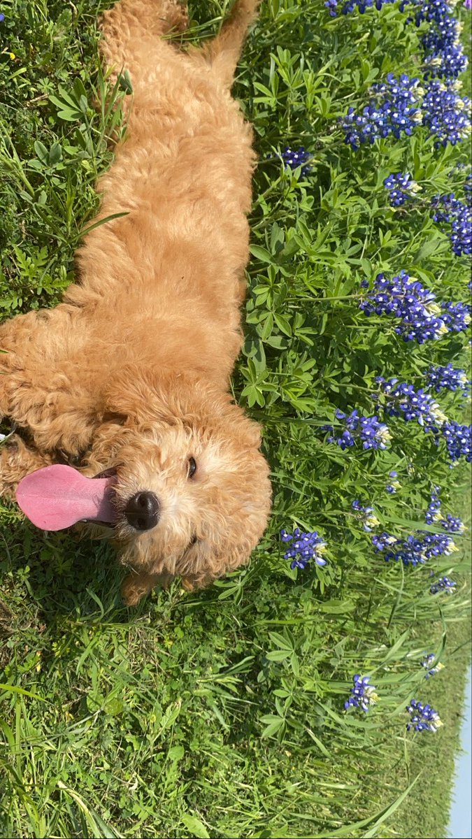 EmmaG__20's tweet photo. @TexasHumor https://t.co/fTPOQB1QqC