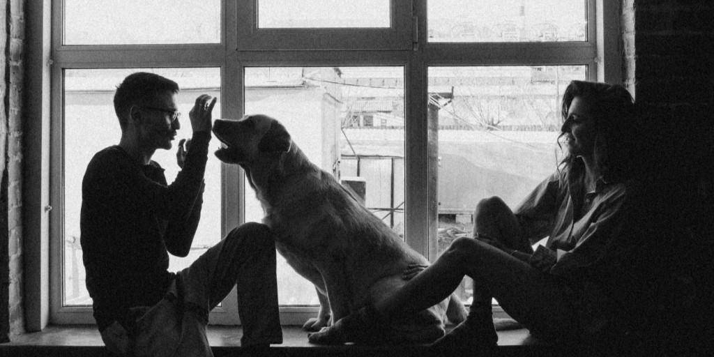 DallasDogLife tweet media