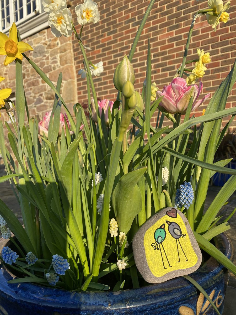 WarrOnWords's tweet photo. Big shout out to the person who painted this stone and left it on the road for someone else to enjoy in these torrid times. You are a bringer of great joy! https://t.co/WhUoIe6yJu