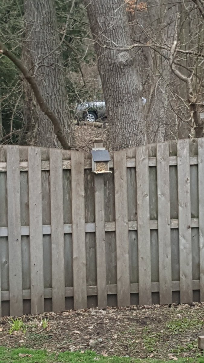 Mr_Morbark's tweet photo. @Bradg2961 I have a lunch box for mine!! https://t.co/OaQRVippgb