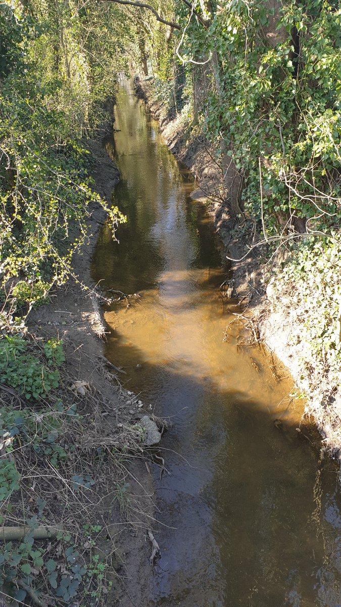 Bit quiet in my street