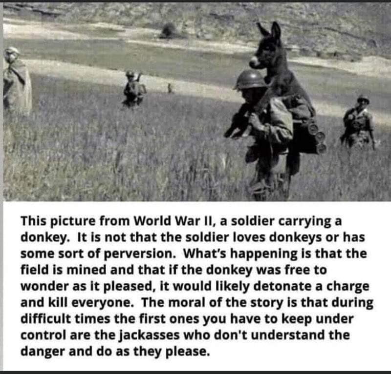 piersmorgan's tweet image. 