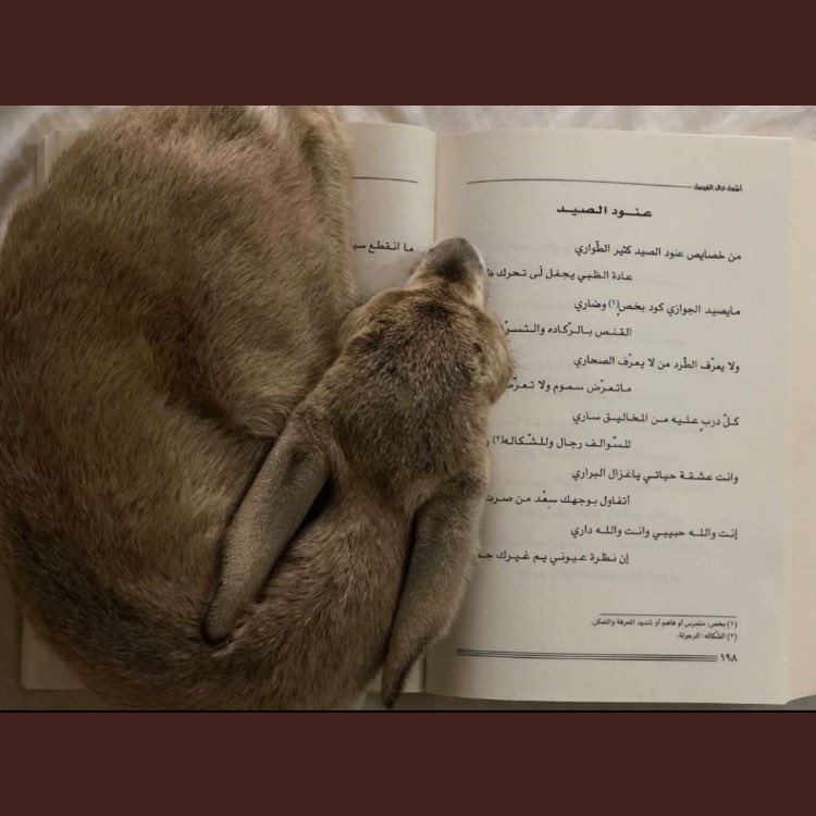 EL_ENOOUD's tweet photo. https://t.co/1wEMnszO1t