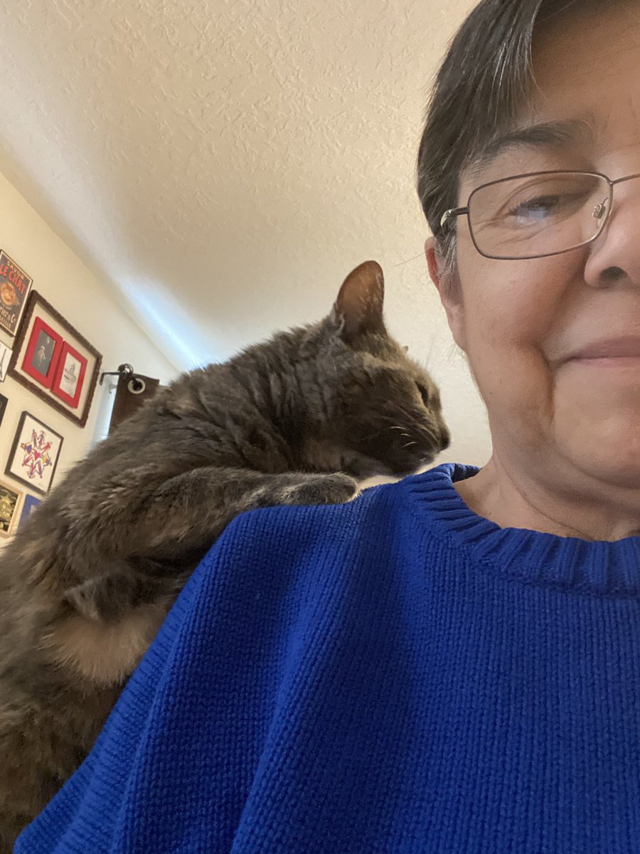 lorenas31550459's tweet photo. #gfepets https://t.co/070d3TNKGn