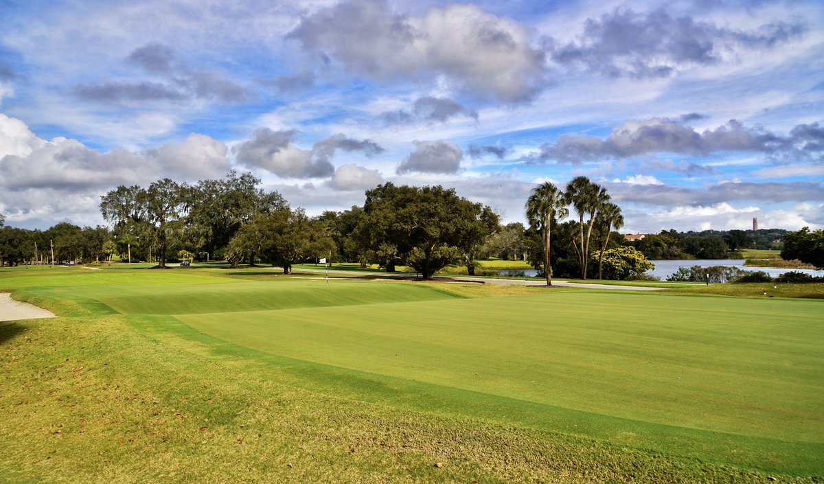 LinksGems tweet media