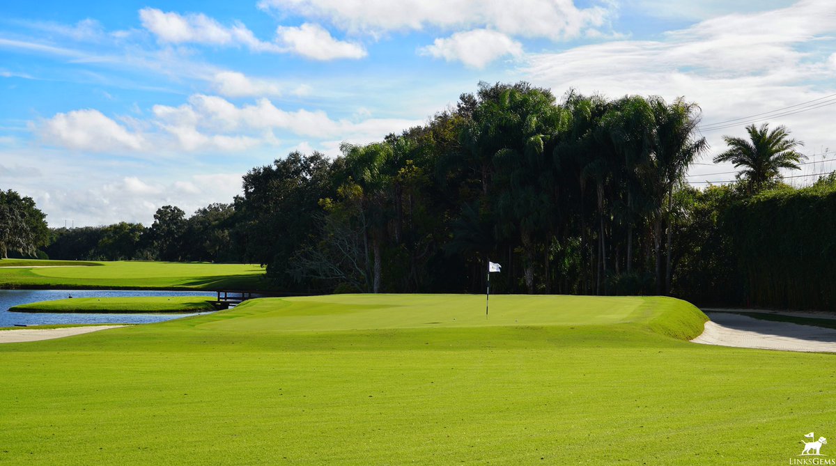 LinksGems tweet media