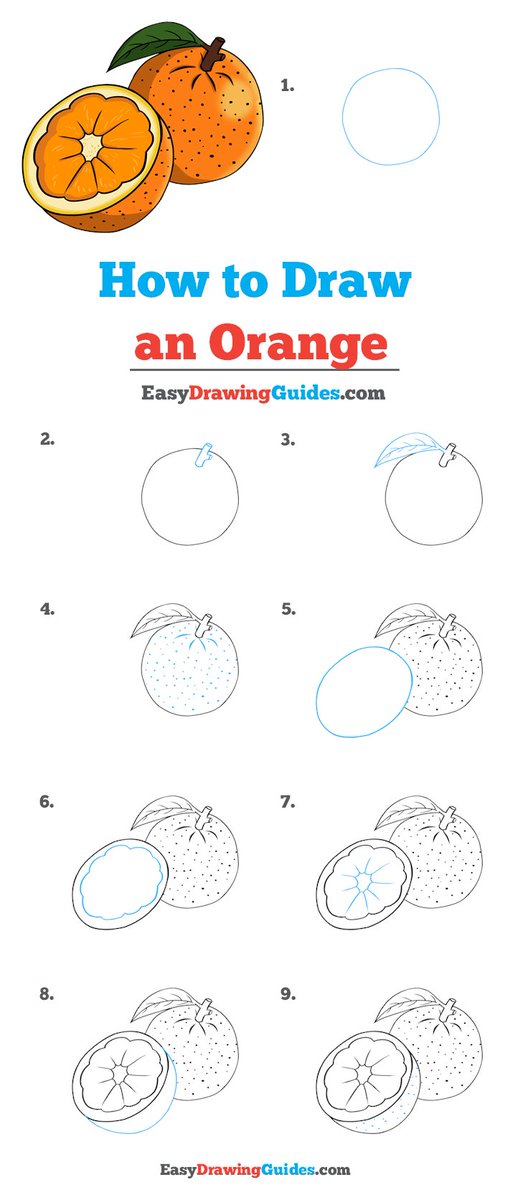 Step by Step To Draw an Orange. Drawing Tutorial an Orange. Drawing Lesson  for Children. Vector Illustration Stock Illustration - Illustration of  design, education: 251467861