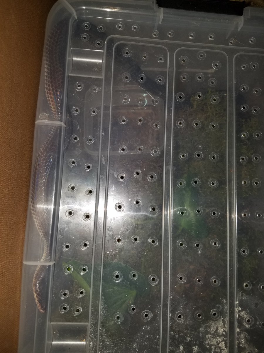 サン ビーム のyahoo 検索 リアルタイム Twitter ツイッター