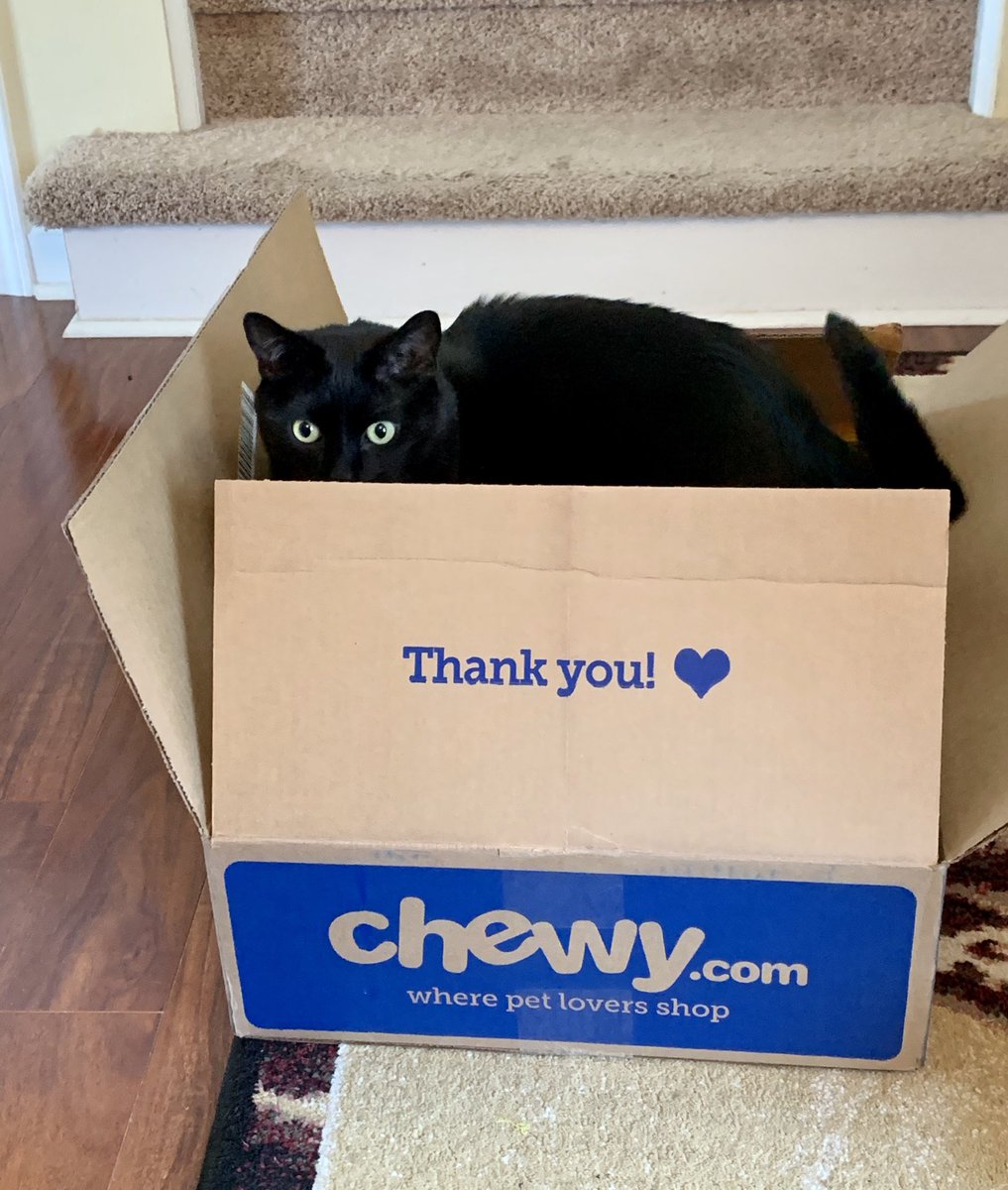 LouEllenCherry's tweet photo. Thank you ⁦@Chewy⁩ for maintaining spectacular customer service during this pandemonium. https://t.co/XOaMsCgGij