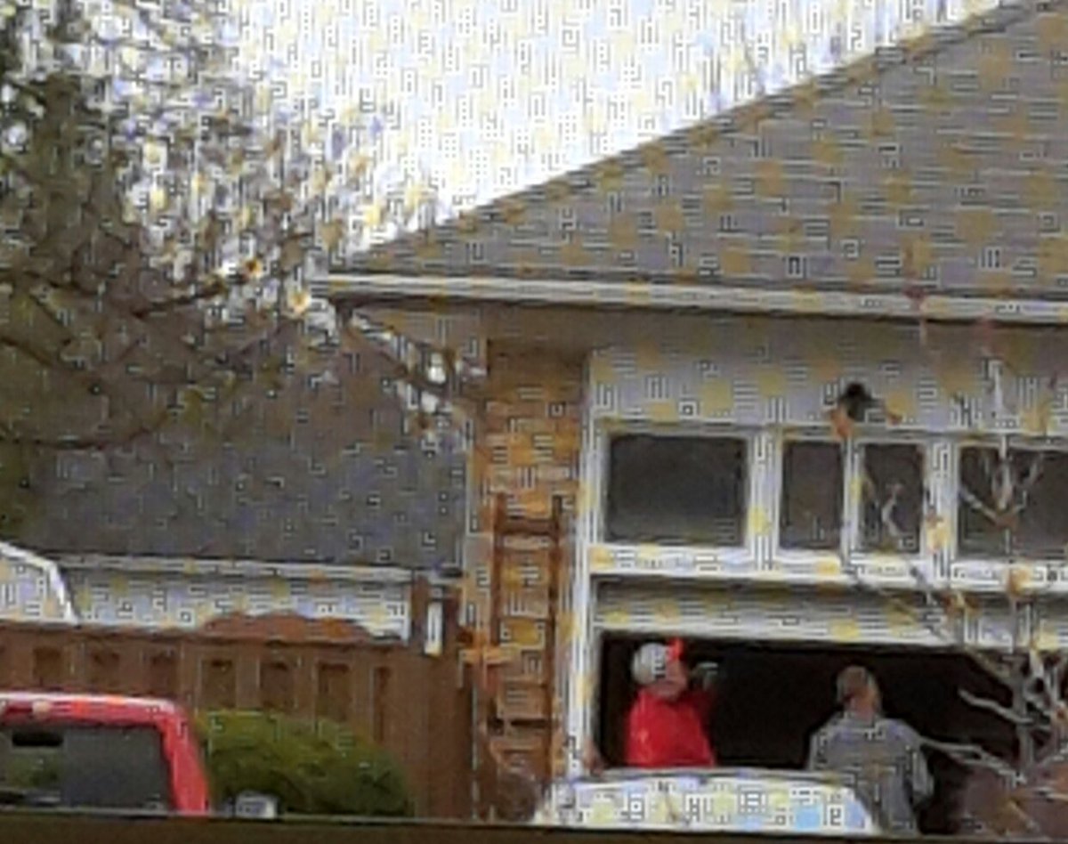 ElfGrl's tweet photo. @RickBonnette1 Neighbour is a retired teacher. Of all people, he should be setting an example. I have seen 4 people come hang out with him, so far, today. Wonder if they are drinking Corona. I think you need follow Mayor Burton's lead.  https://t.co/4Q4YtQTNQk #covidiots https://t.co/9iTCtAOuQ3