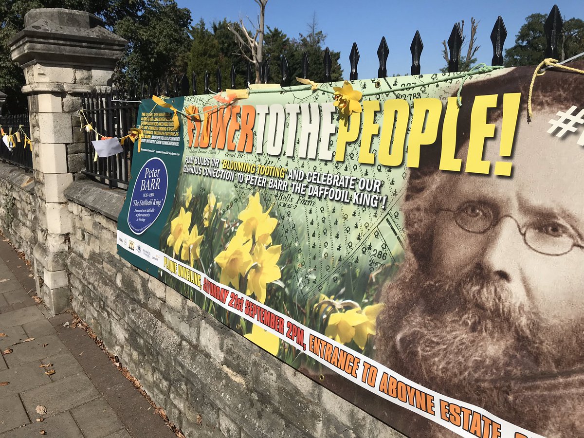 summerstown182's tweet image. The good news from #StreathamCemetery is that even if you missed the initial wave of the #SpringUprising there are plenty of late bloomers coming through &amp;amp; you can get a nice view of them through the railings #flowertothepeople #GreatChainOfGarrattLane #BloomingTooting