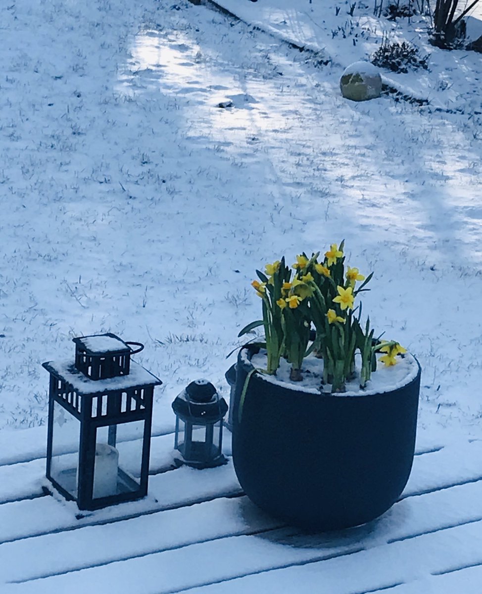 QueenEdn's tweet image. När man för en gångs skull är tidig med nått.. 😬