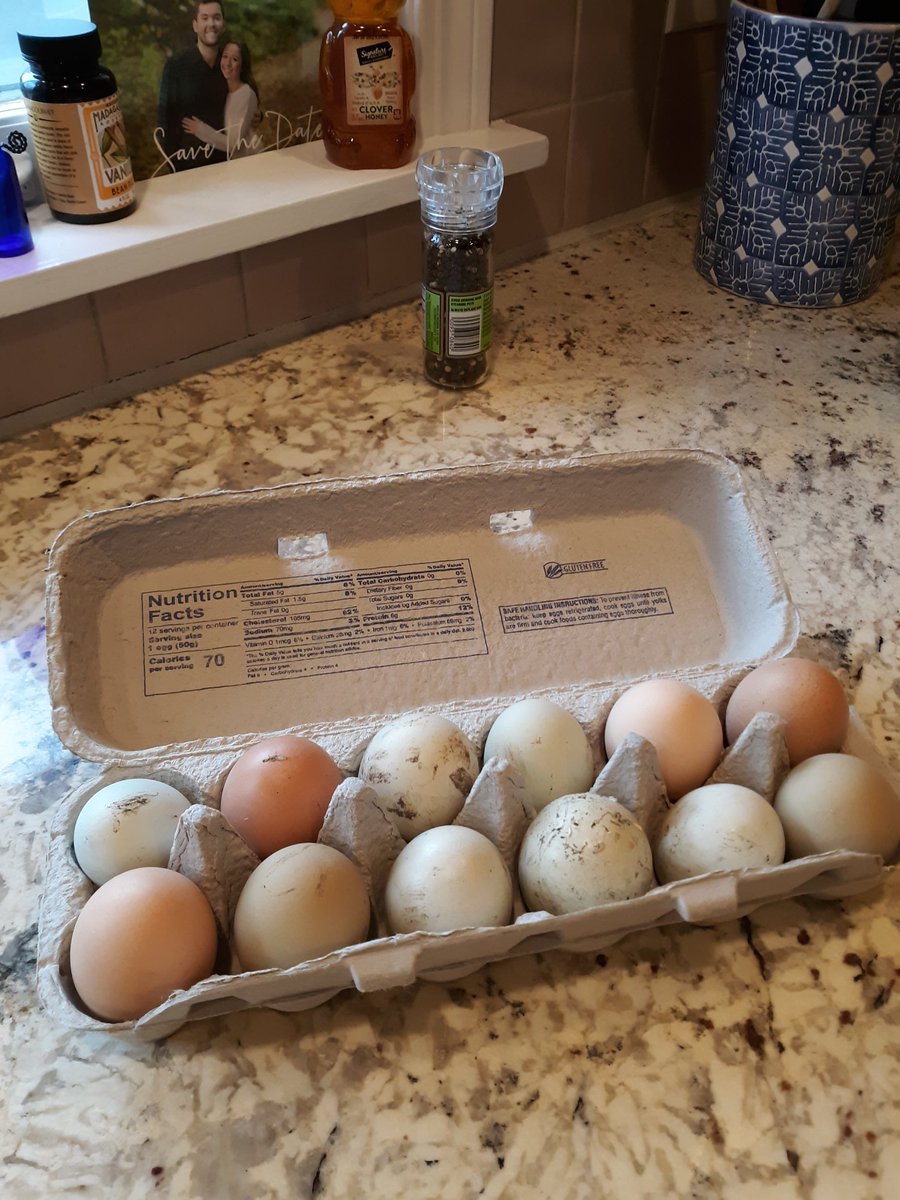 Anne Blyth tweet media