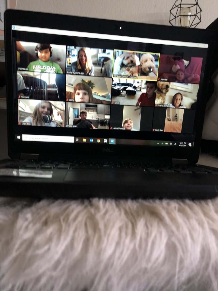 StumpyClass's tweet image. Bring your pet to Zoom was a big success. 🐶🐶❤️❤️ @WGESdragons