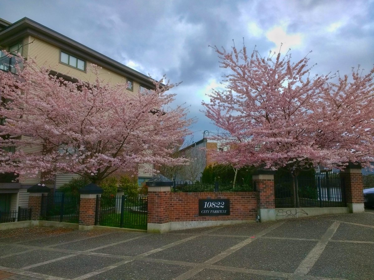 13flag's tweet image. Каждый день иду мимо этой локации на роботу и мне она так нравится, душевно что-ли.