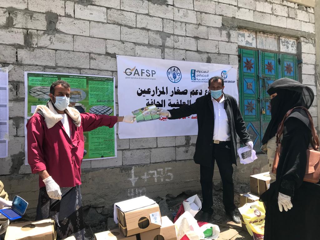 SFDYemen's tweet photo. #SFDYEMEN continues to distribute #FeedBlock s to poor farmers in Ahwar, Rusud and Mudiah #Abyan and other governorates with taking anti- #Corona measures.
#SAPREP
Supported by @WorldBankMENA
thru
#fao https://t.co/9XdxahJZyE