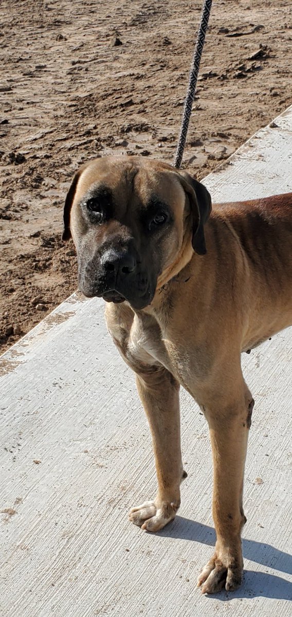 City of Mission tweet media