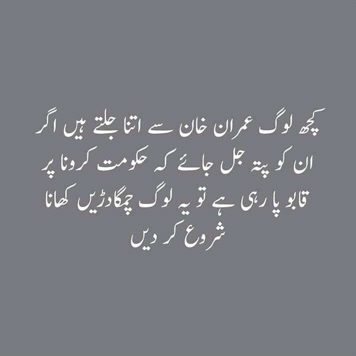 psl2020khan's tweet photo. @Ali_MuhammadPTI https://t.co/LO8jUvi5TD