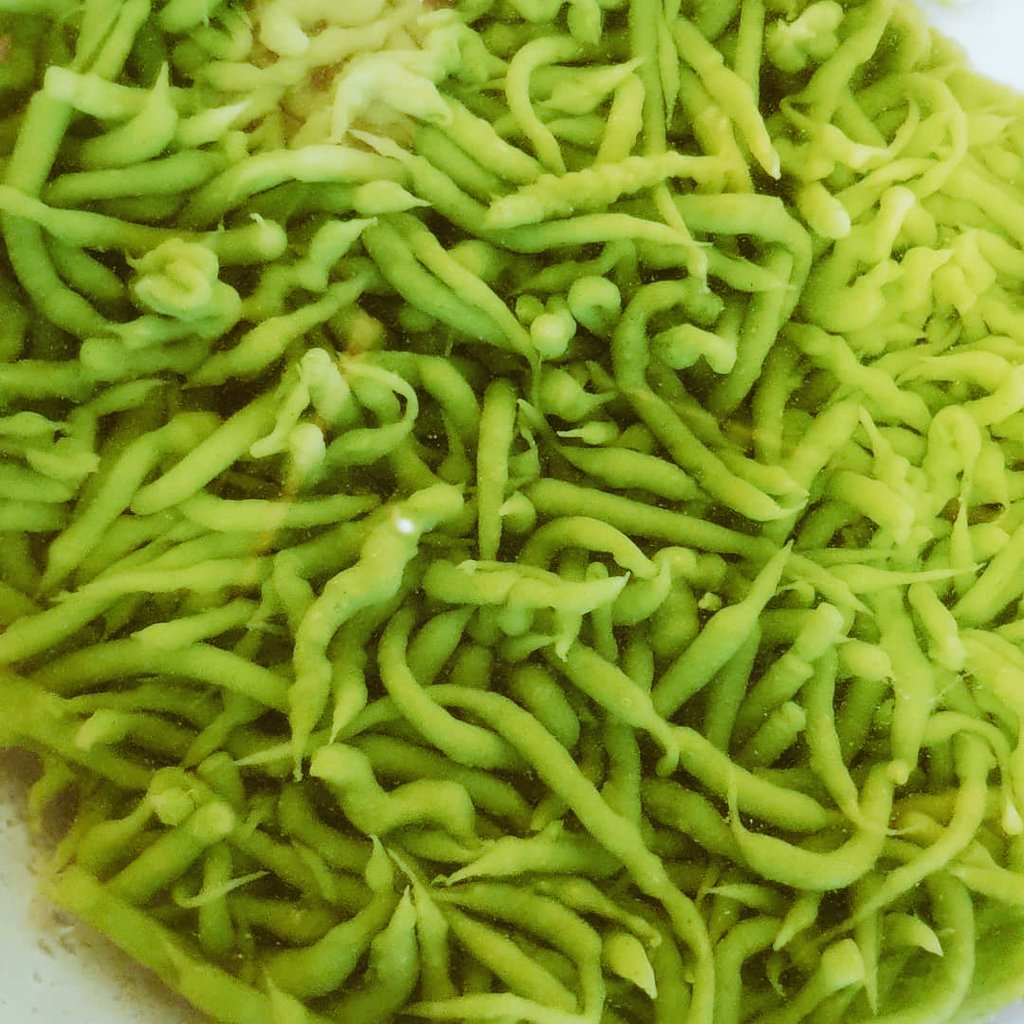 LaksaCo's tweet photo. Cendol - handmade to a traditional recipe, will be available as soon as we can open to the public.
#cendol#javanesefood#majapahitempire#indicasia##malayfood#indonesianfood https://t.co/GwuRoCVJVr