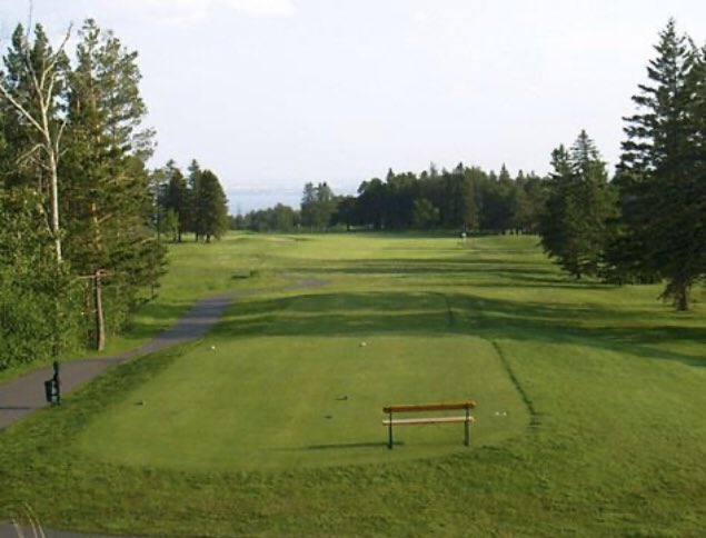 Bryan Tweed tweet media