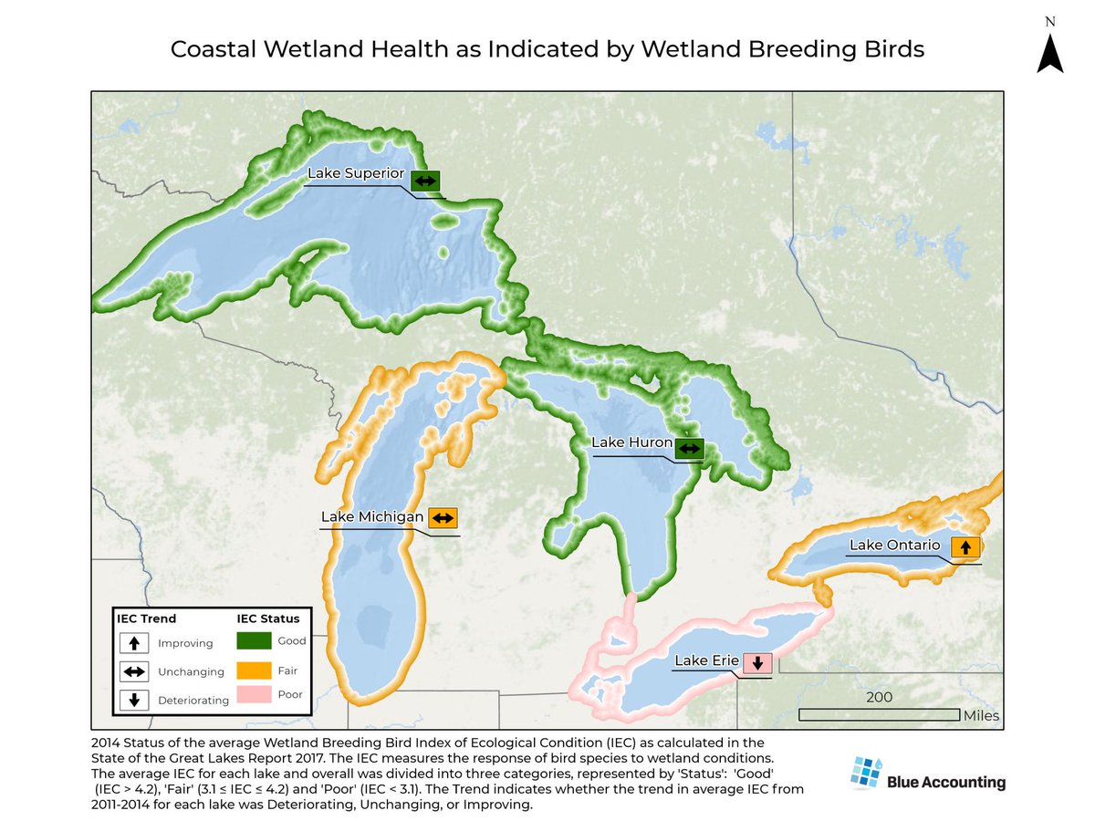 Great interview highlighting this critical monitoring program for #GreatLakes #coastalwetlands. @BlueAccounting is reporting progress for these important ecosystems, thanks to data funded by @EPAGreatLakes blueaccounting.org/issue/coastal-… @GLCommission @nature_MI @IJCsharedwaters