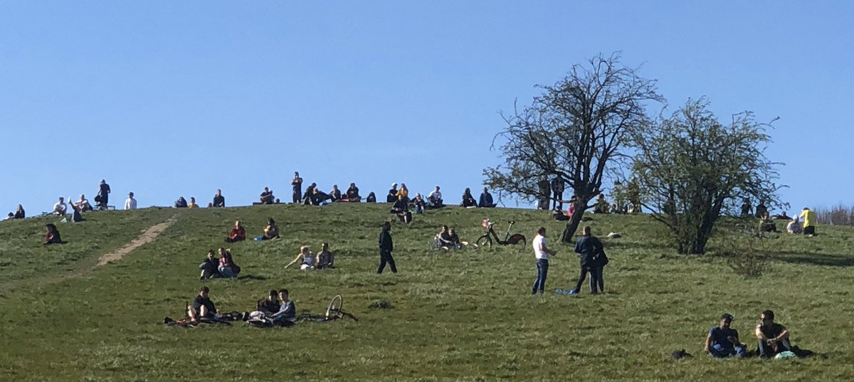  #Disappointed is the only word to describe what we found in  #PrimroseHill park today. We moved on 100+ people who we found with full picnics or blankets sunbathing or catching up with their friends!Check out a photo we took when we then returned a short while later...