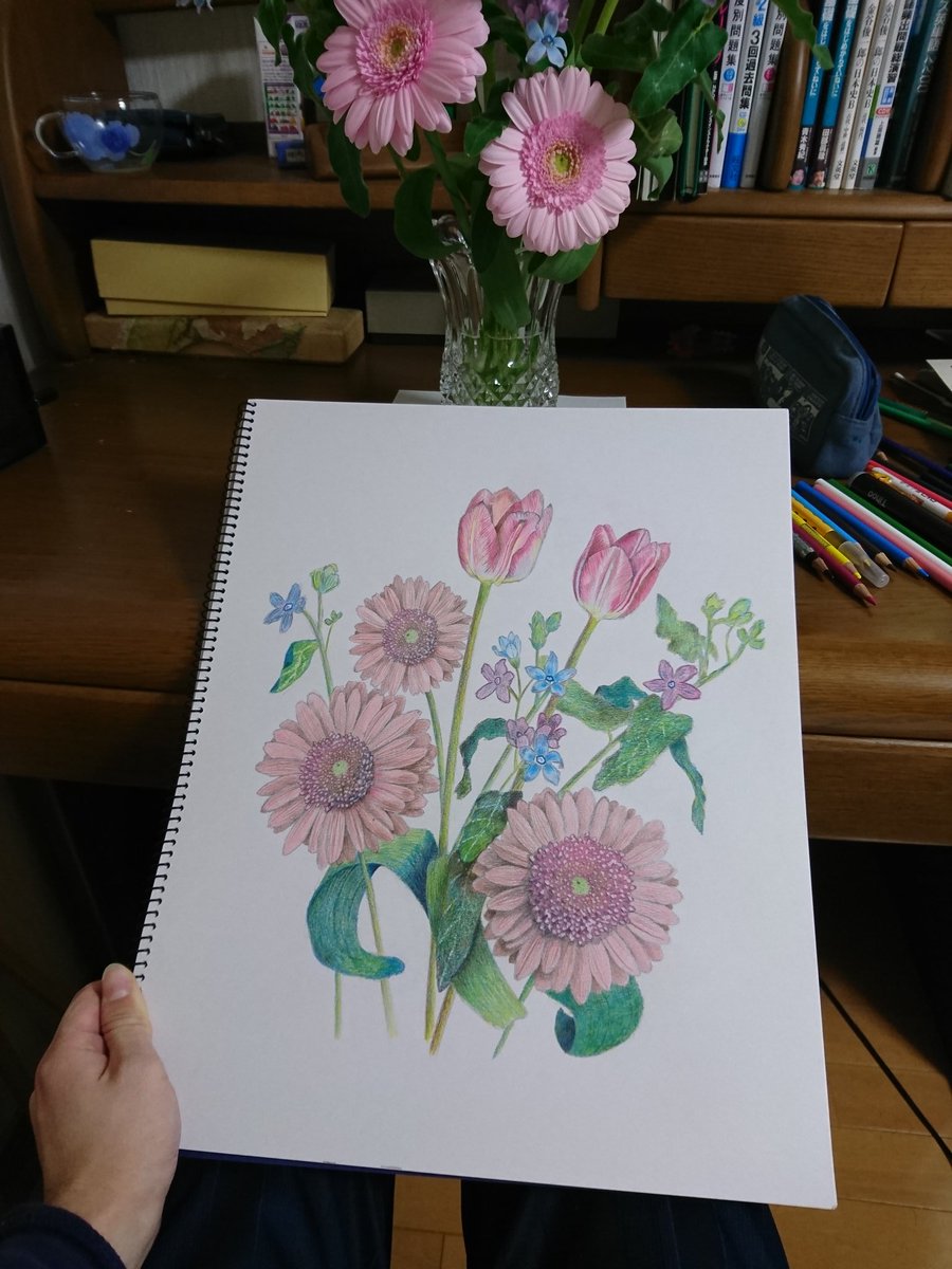 三賀 亮介 ミカ リョウスケ 色鉛筆画 スケッチ イラスト 絵描きさんと繋がりたい 絵描きさんの作業環境が見たい 花 ガーベラ ガーベラが好き 家に本物の花があったので簡単に描いてみました これから本画に取り掛かります T Co
