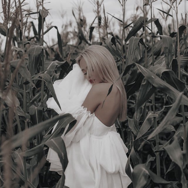 ➻ Anonimo.

ㅤㅤㅤㅤㅤAmy Margot Parker Bonheur ( <a href="/DKolosva/">Amy.</a> ).