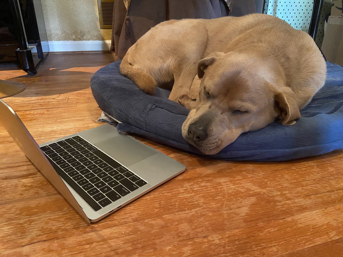 Nate Thompson tweet media