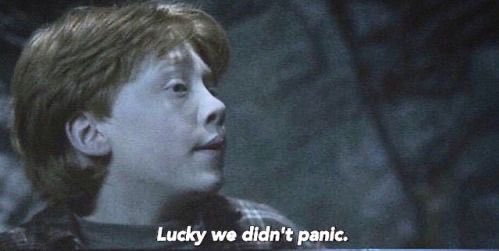 Ron’s post-Devil’s Snare “lucky we didn’t panic!” is my entire quarantine vibe