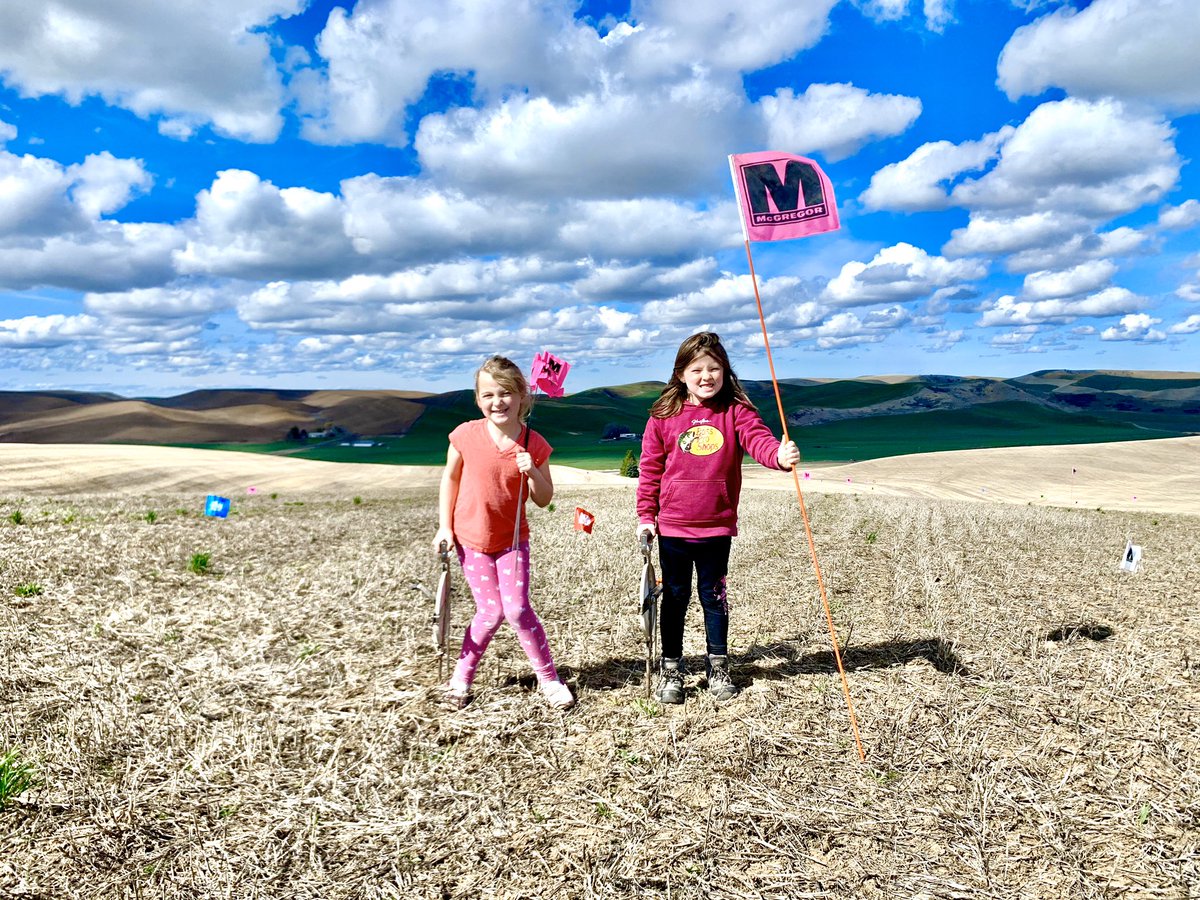 TMC_Cat's tweet photo. Of course the weather is always perfect on the weekends! But the view Ain’t bad and help is cheap @themcgregorco #StartThemYoung #RealLifeSTEM https://t.co/NTj2r45DDD