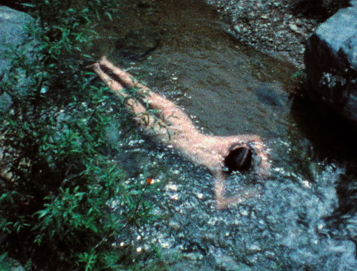 Ana Mendieta (1948-1985)Cette artiste américano-cubaine était également performeuse, sculptrice, peintre. Ses photographies, souvent des autoportraits, parlent du corps féminin et du rapport à la nature.