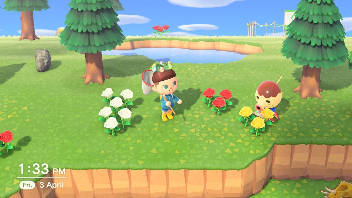 DeeKatEgan's tweet photo. #AnimalCrossing #ACNH #NintendoSwitch https://t.co/Mt4pSW2SI7