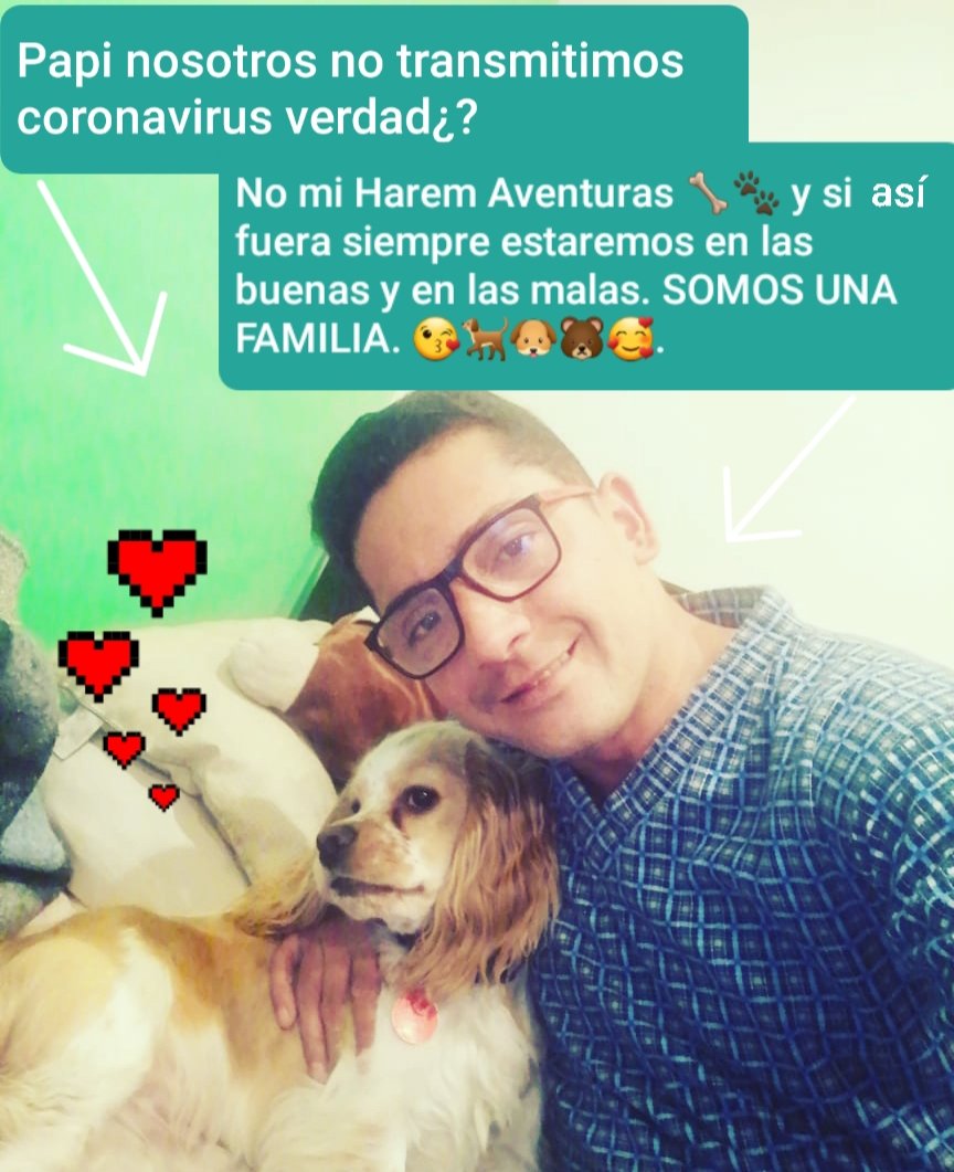 AvrahamAlonsoRi's tweet photo. El privilegio d los que tenemos mascota👉|Podemos salir 20 minutos d caminata con nuestrs hijos🐕🐾|Al regresar a casa, siempre le limpio ls patas y el pechito a mi #HaremAventuras🐕🐾 con pañitos humedos #Petys🐾(recomendación d su Veterinario) @AnimalesBOG https://t.co/EoDSAxAA3f