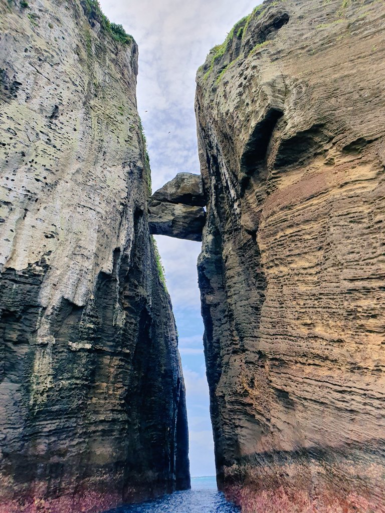 Dylan Albert tweet media