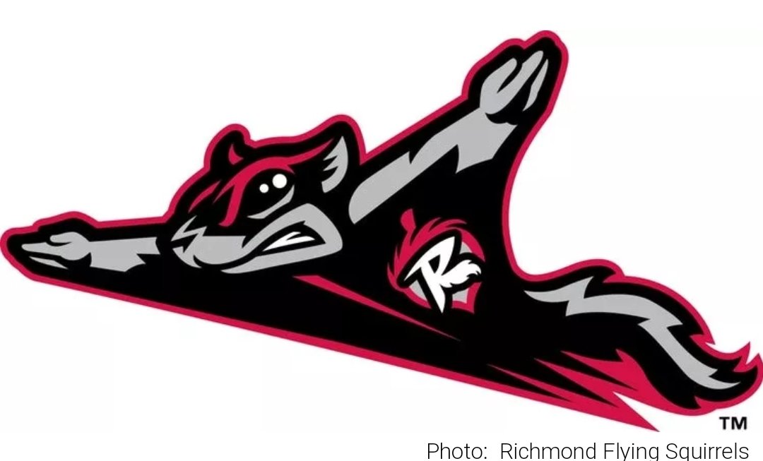 RESULTS FROM THE OPENING ROUND OF  #RobsMinorLeagueMadness...#3 Richmond Flying Squirrels beat #6 Toledo Mud Hens, getting 2/3 of the votes.