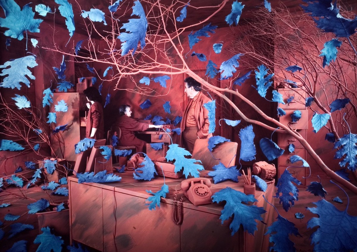 Sandy Skoglund (1946)Cette artiste américaine réalise des photos totalement décalées et psychédéliques, créant des décors et des sculptures de toute pièce.