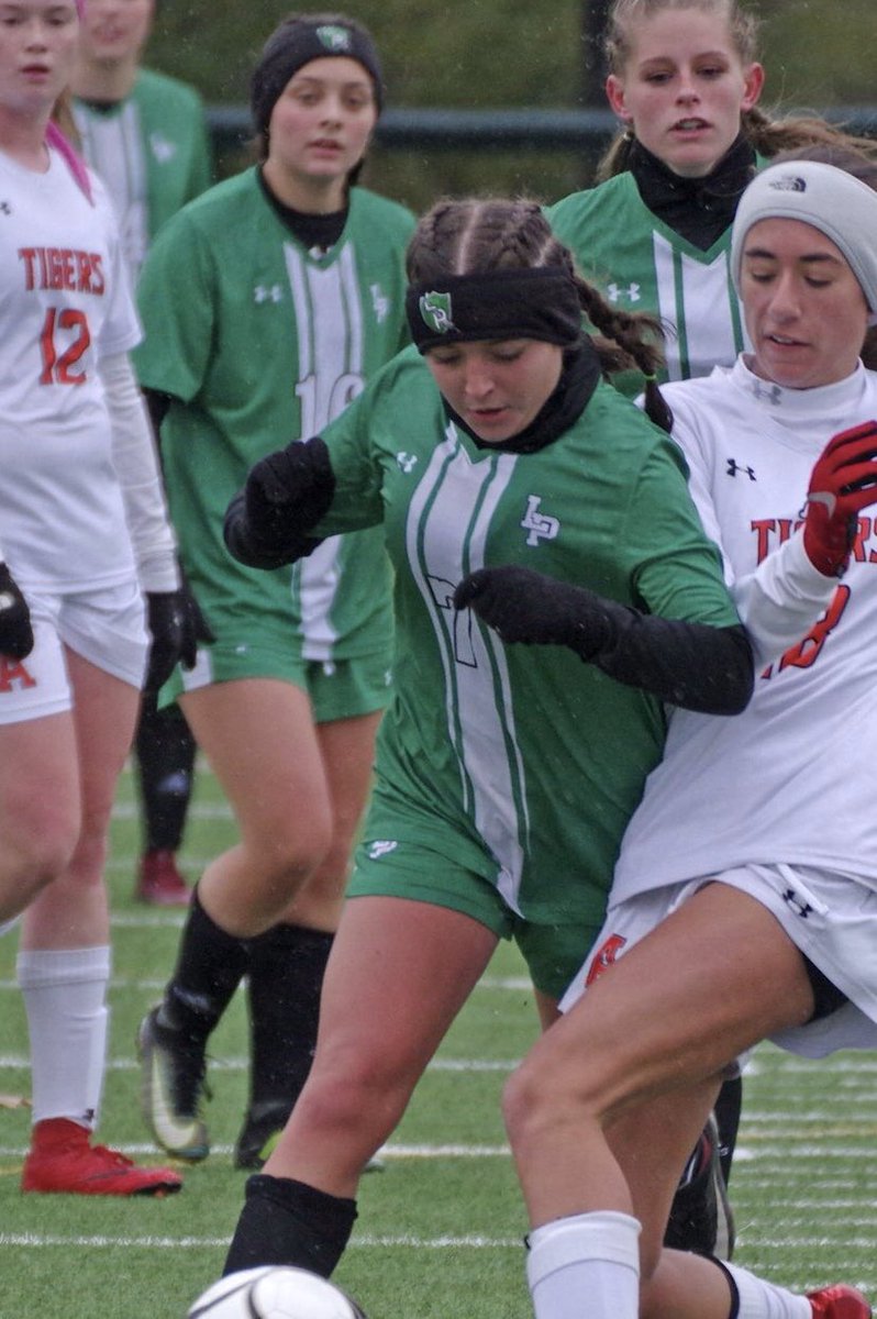 Dominic Massaro tweet media