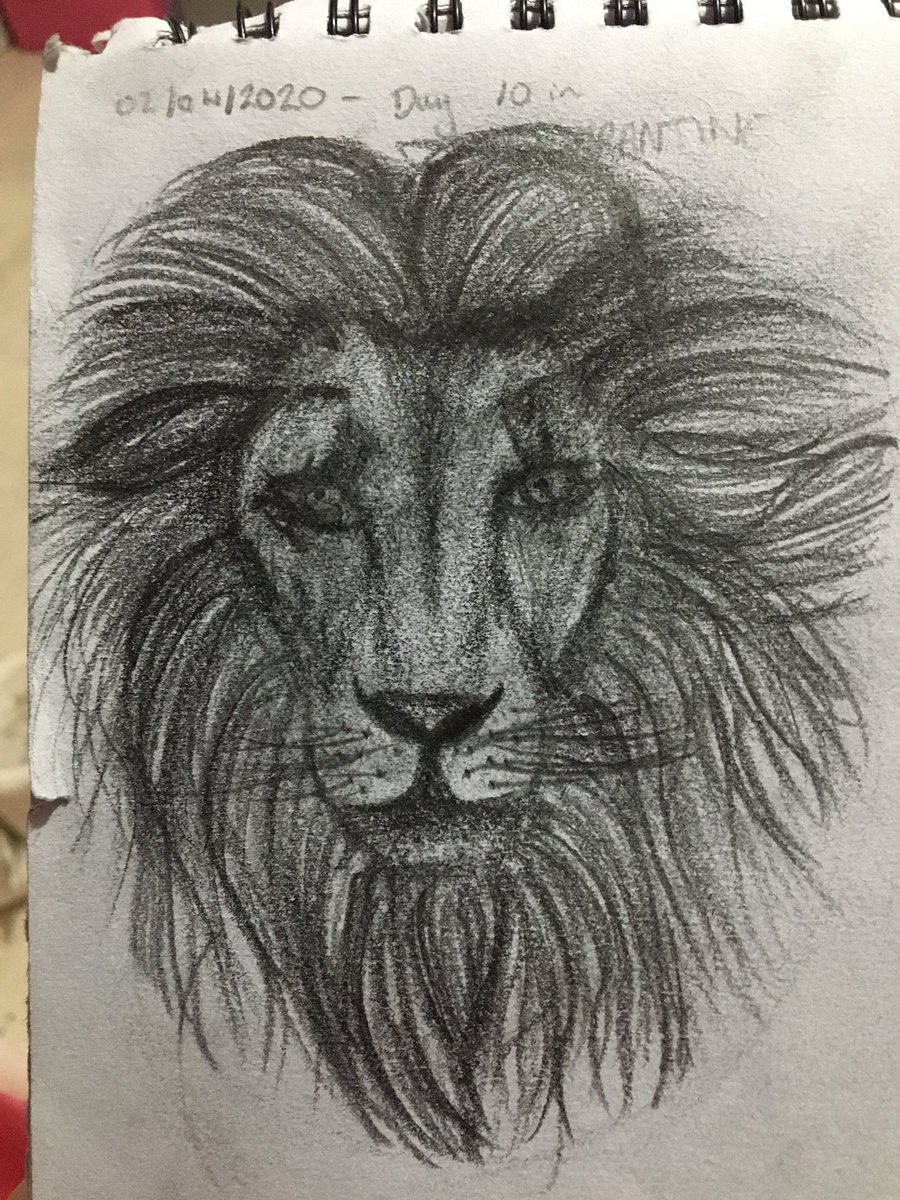 TMorgan_mx's tweet photo. 02~04 /04/2020 - Day 10 and 12 in Quarantine 

IT’S ALL ABOUT PROGRESS!
These drawings are just 2 days apart and I have never seen myself improve so quickly before. All it took was a 1 Min YouTube tutorial and a SHARP 3b #pencil 👏🏻 

#lion #drawing #art #quarantine #corona #3B https://t.co/th0IaYQddO