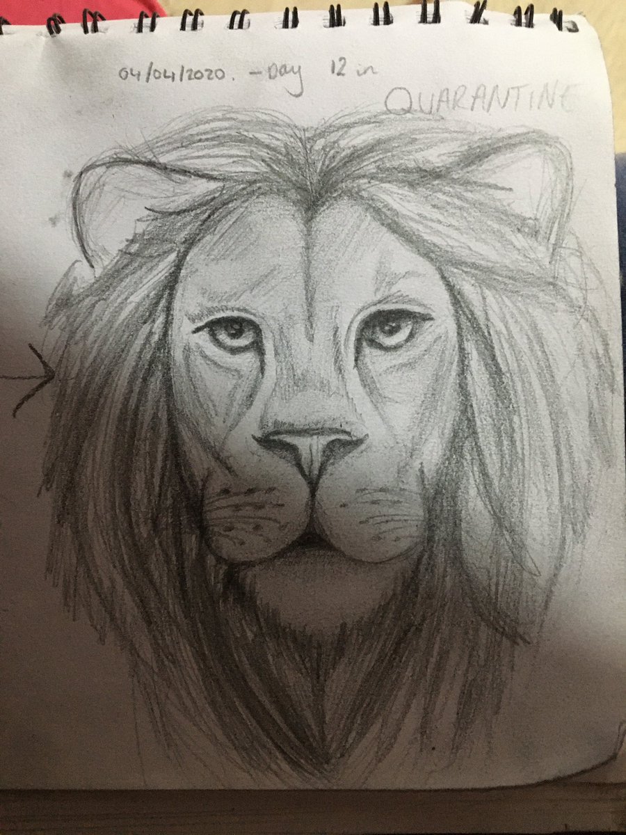TMorgan_mx's tweet photo. 02~04 /04/2020 - Day 10 and 12 in Quarantine 

IT’S ALL ABOUT PROGRESS!
These drawings are just 2 days apart and I have never seen myself improve so quickly before. All it took was a 1 Min YouTube tutorial and a SHARP 3b #pencil 👏🏻 

#lion #drawing #art #quarantine #corona #3B https://t.co/th0IaYQddO