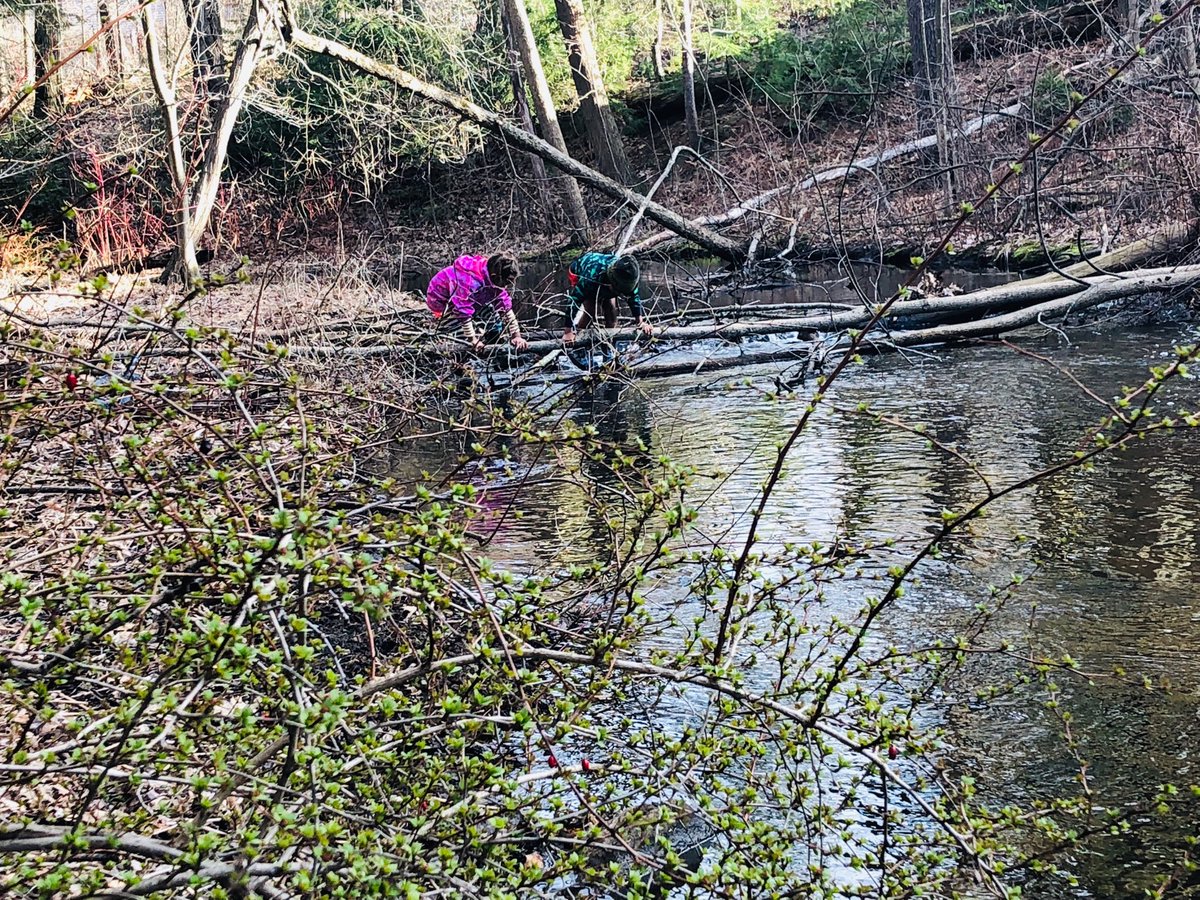 KatyMartey's tweet photo. Adventuring in our neighborhood brook.  Lots of fun!! #mht #HomeHikeChallenge https://t.co/DuBi5KB7Ty