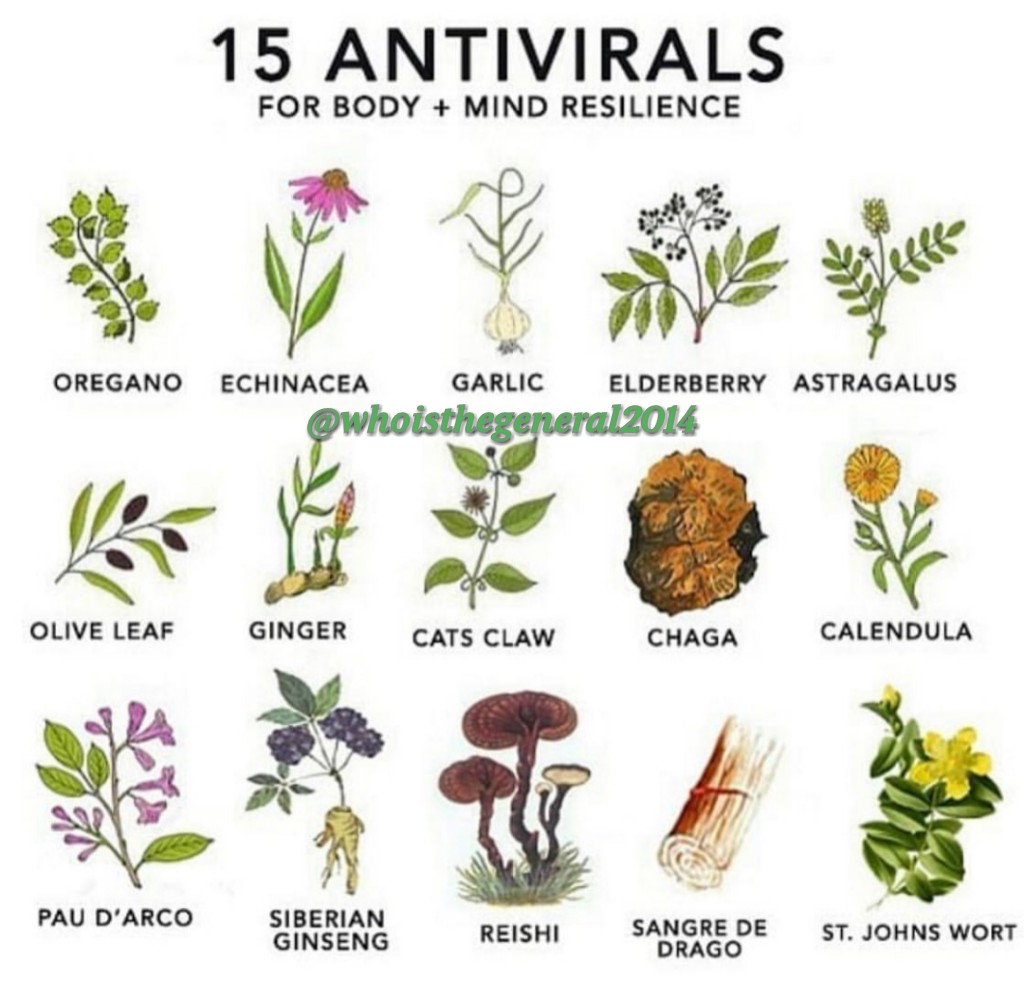 DanielTFreeman1's tweet photo. #cladex #thenextpandemic #emergencypreparedness #darkwinter #coronavirus #ebonypreppers #WuhanVirus #blackpreppers #BSL4 #bioweapon #offthegrid #blacksurvivalists #preparedness #handwashing #pandemic #blackprepper #pandemicpreparedness #depopulation #covid19 https://t.co/gWdewkjMCt