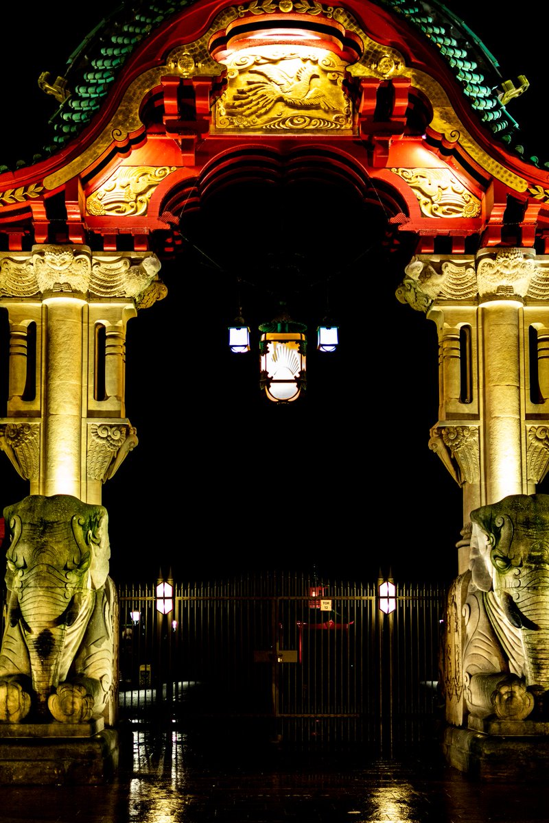 CryxDx2's tweet photo. For those who just can't visit Berlin because of the situation...
I replace my midnight pictures of Life is Strange for a few pictures of Berlin. 
#berlin #germany #visitberlin #photography #art #lights #pictureoftheday #buildings #StayAtHome #wirbleibenzuhause #lightsofberlin https://t.co/CznXh6uEyn