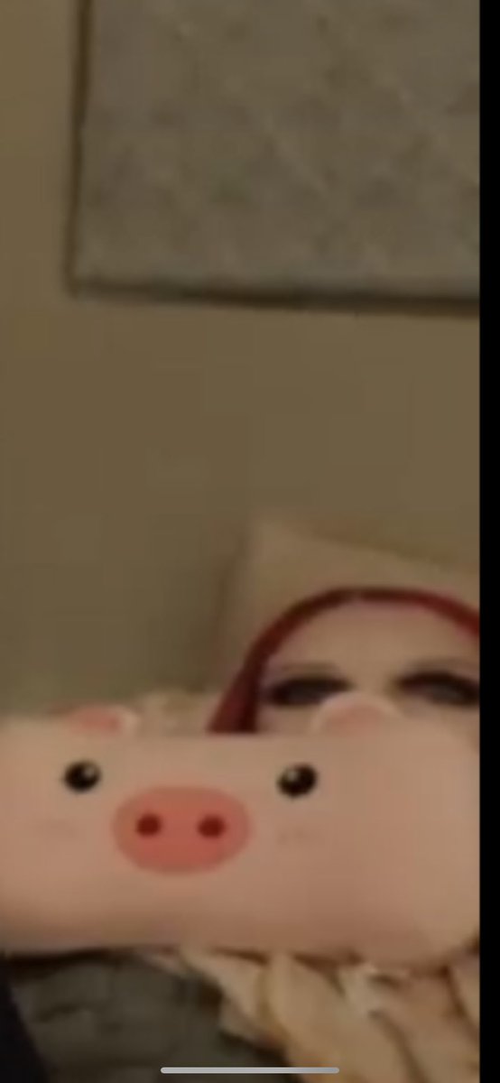 Patronusmethis's tweet photo. Okay I’m watching @shanedawson new video and honestly, I’m WHEEZING at the fucking @JeffreeStar pillow PEEPING over the PIG PILLOW 😂 https://t.co/kpFN98HHKO