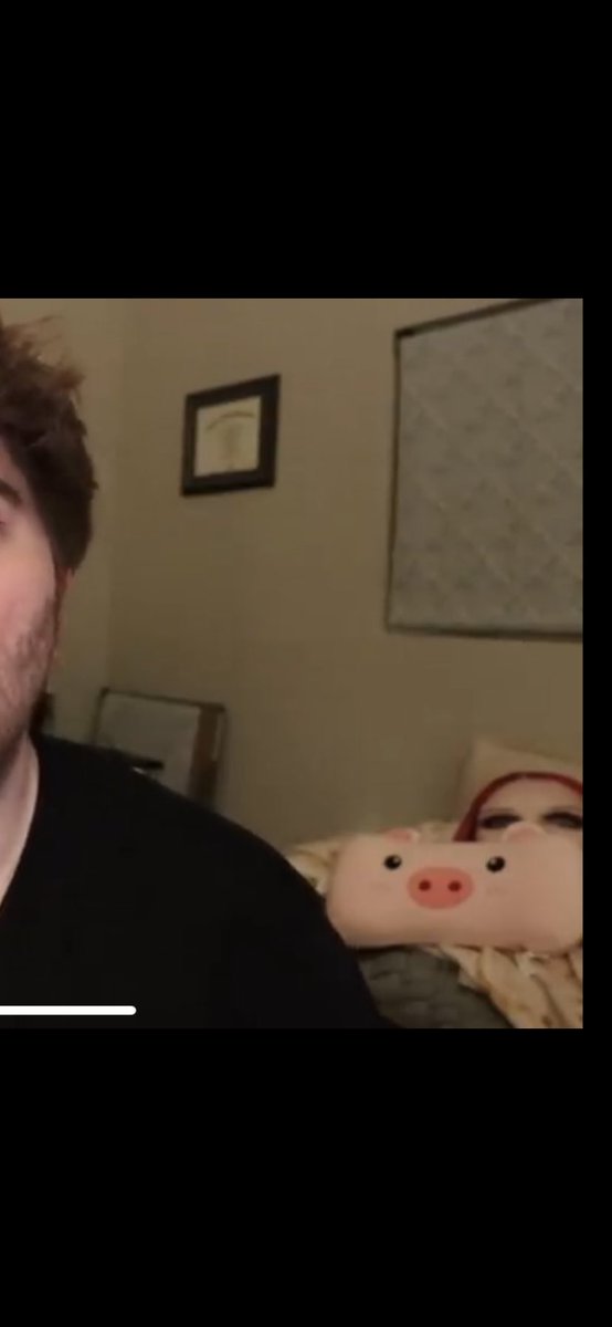Patronusmethis's tweet photo. Okay I’m watching @shanedawson new video and honestly, I’m WHEEZING at the fucking @JeffreeStar pillow PEEPING over the PIG PILLOW 😂 https://t.co/kpFN98HHKO