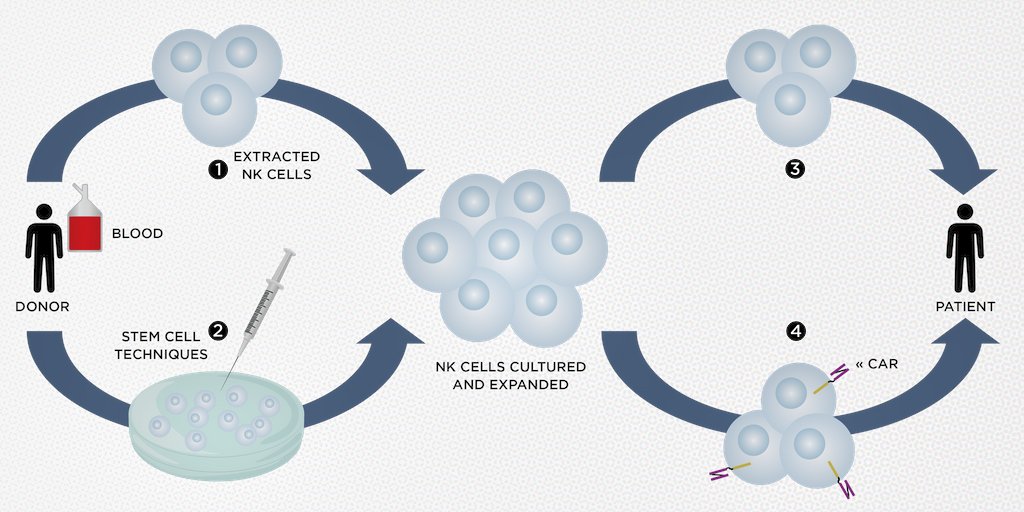 SafeCancerTx's tweet photo. “Natural Killer Cell Therapies Catch Up to CAR T” https://t.co/qzedfANbnQ https://t.co/Xfbeo5BkW1