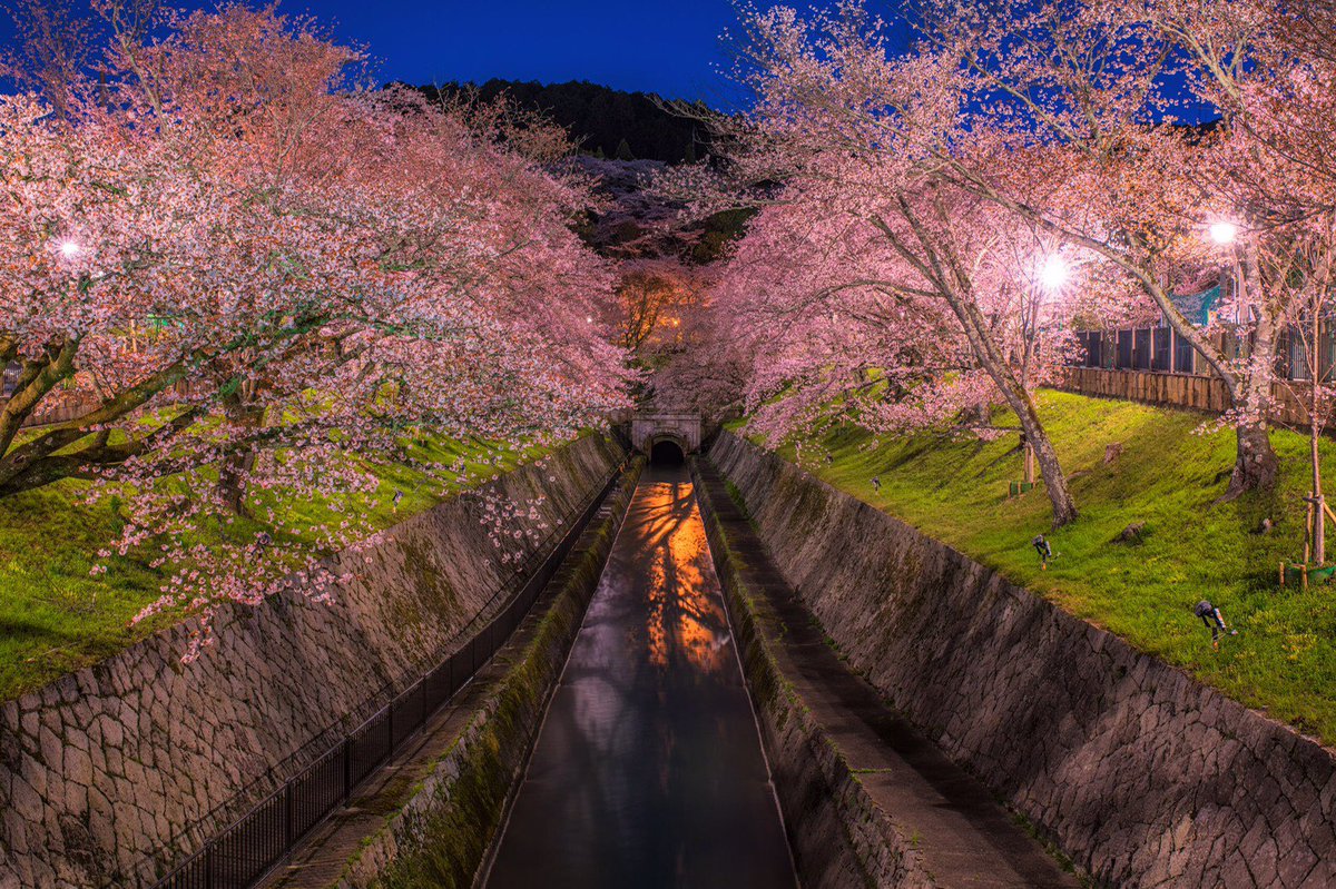 atsushi_k_photo tweet picture