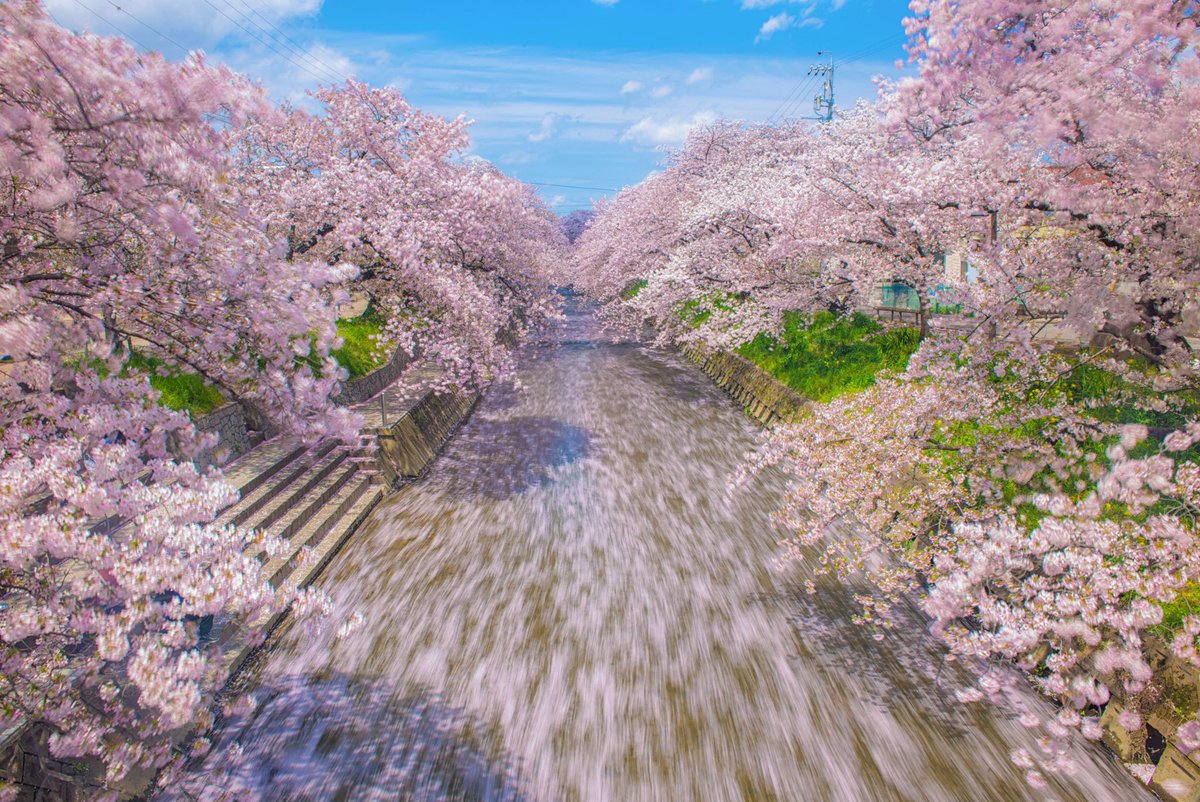 atsushi_k_photo tweet picture