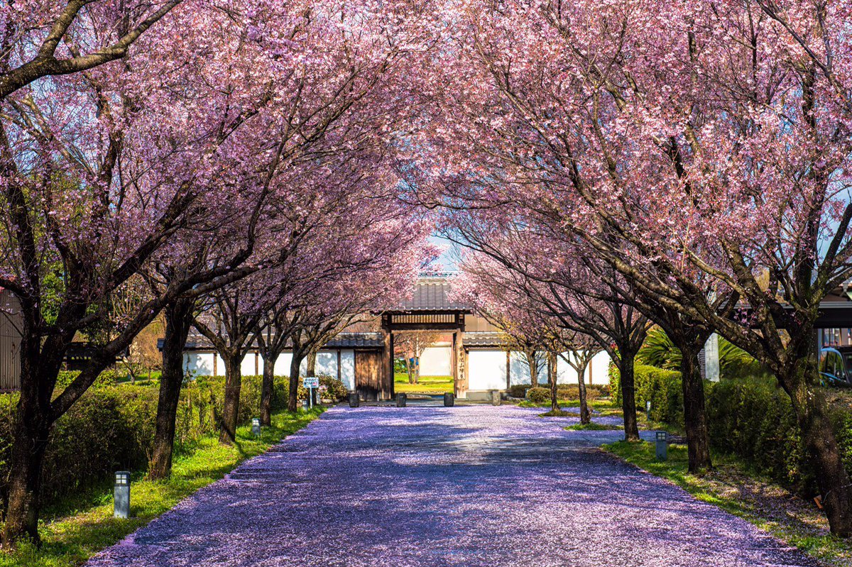 atsushi_k_photo tweet picture