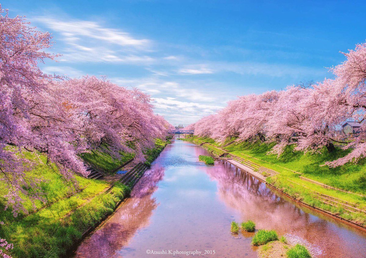 atsushi_k_photo tweet picture